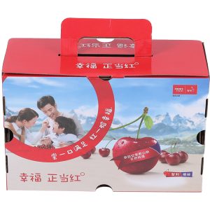 Fruit Gift Corrugated Box, Custom Printed Luxury Fresh Fruit Packaging for Supermarket & Gift