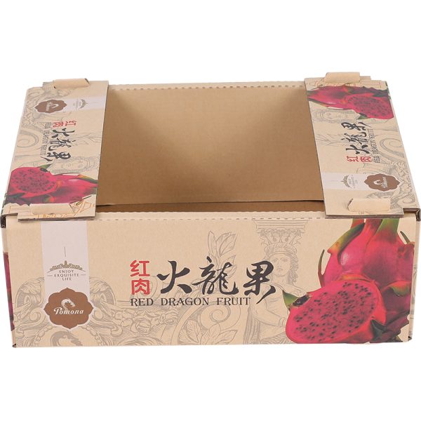 Retail-ready produce packaging carton for dragon fruit display - Image 7