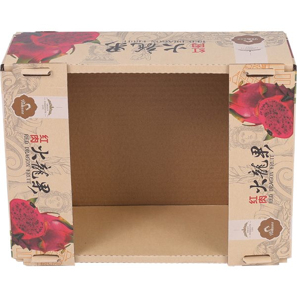 Water-resistant paperboard dragon fruit packaging box container - Image 2