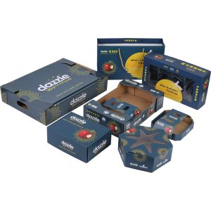 Apple pacakging box