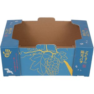 Custom Printed Fruit Display Stands | Cardboard Retail Fruit Packaging