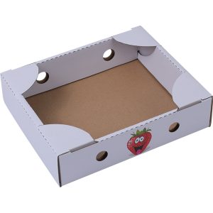 Custom Cherry & Raspberry Paper Punnets | Biodegradable Berry Produce Trays